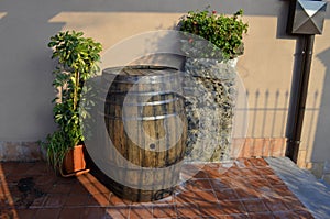 Old barrel