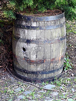 Old barrel