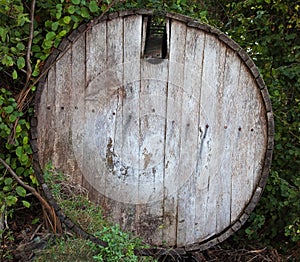 Old barrel in a forest