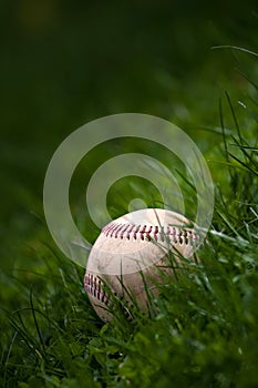 Old Baseball in the Grass