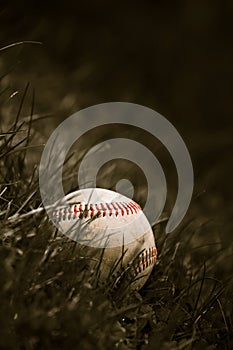 Old Baseball in the Grass