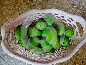 An old basked containing green raw mangoes