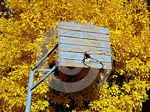 Old basketball backboard