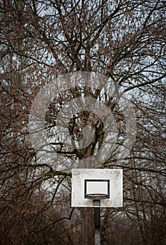 Old basketball rim