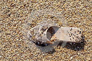 Old beach sandal, washed-up stranded
