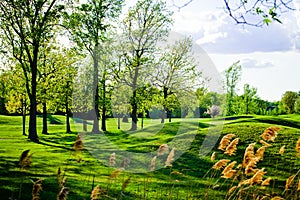 Old and beautiful bumpy golf course