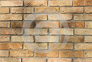 Old beautiful light brown brickwork under the shadow of tree branches. Perfect background for photo wallpapers