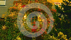 Old beautiful tenement`s balconies are covered in red flowers - Image