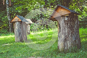 Old bee-garden making in tree stump on green grass