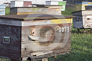 Old bee hives in the apiary in the spring