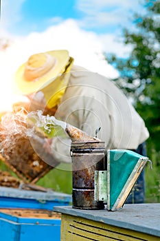 Old bee smoker. The beekeeper works on apiary near the hives. Beekeeping tool. Apiculture.