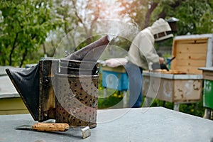 Old bee smoker. Beekeeping tool. The beekeeper works on an apiary near the hives.