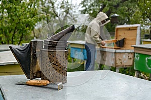 Old bee smoker. Beekeeping tool. The beekeeper works on an apiary near the hives.