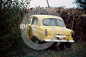 Old beige car. It is in the forest, on the field road. Back view. There is room for a license plate.