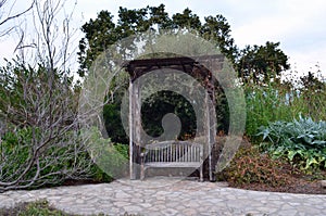 Old Bench at Arboretum