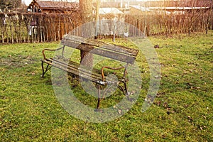 An old bench in the backyard garden.Spring season.