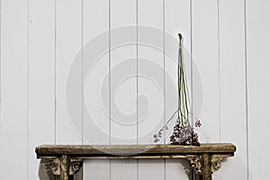 Old bench with brench