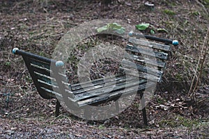 Old bench in the forest with knobs.