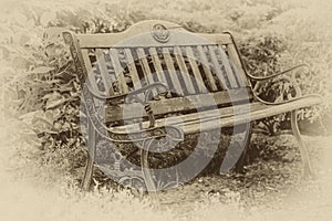 Old bench in the garden