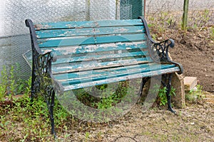 Old bench overgrown with weeds