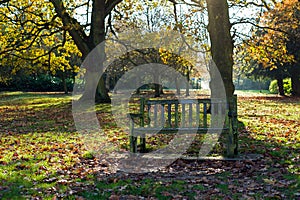 Old bench in a park