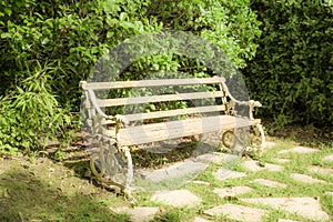 Old bench with trees and bushes around