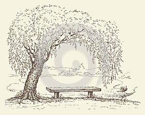 Old bench under a willow tree by the lake
