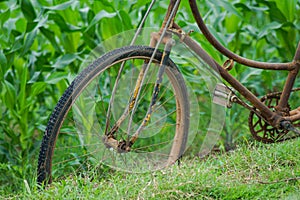 an old bicycle