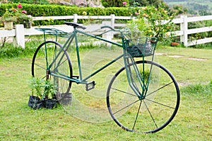 Old bicycle