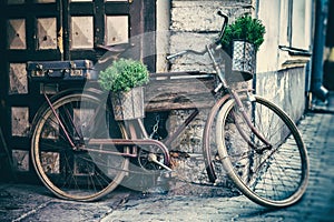 old bicycle carrying flower pots and suitcase