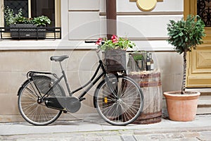 Old bicycle carrying flowers