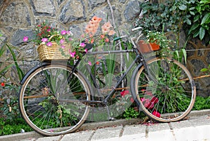 Old bicycle decorated with flowers