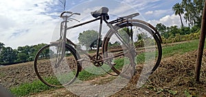 Old bicycle in the field