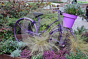 Old bicycle with flowers