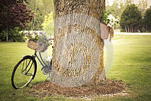 Old Bicycle with Flowers Leaning Against Tree
