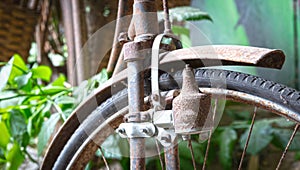 Old bicycle found in nature