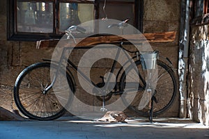 Old bicycle