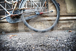 Old bicycle rear wheel agsinst a rustic wall