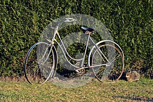 Old bicycle with a retro effect