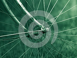 Old bicycle wheel