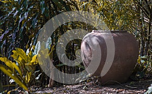 Old big earthen jar or Large vintage clay jar for water storage on the ground in the garden with lots of green tree nature