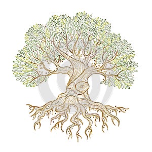 Old big family tree with roots isolated on white. Concept Art for your design. Design interior ideas.