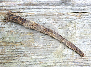 Old, big and rusty nail isolated on wood