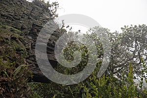 An old big stone knowed as `pico del ÃÂ¡guila` or in english `eagle`s peak` at Chicaque Natural Park photo