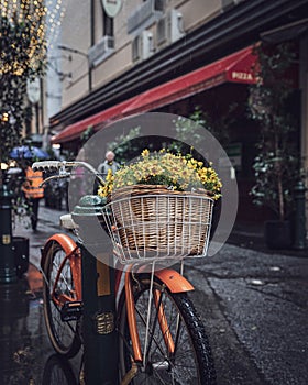 Old bike with a basket full of flowers