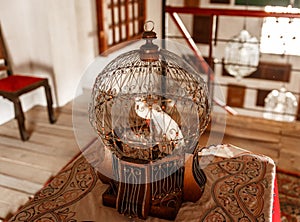 Old birdcage with a white bird inside