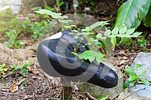 Old black Bicycle saddle with tree.