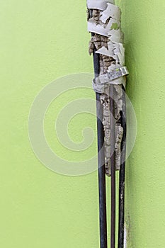 Old black electrical cord damaged with green wall.