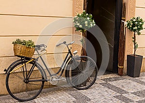 Old black metal bicycle, wicker basket on trunks, against a light wall background