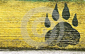 Old black paw prints on cement wall yellow background with space